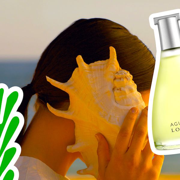 loewe posidonia