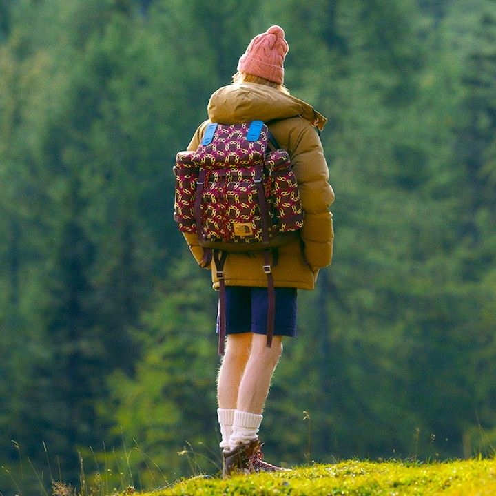 The north face x gucci