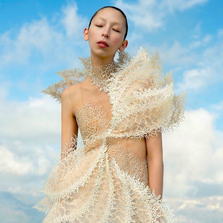 Iris Van Herpen