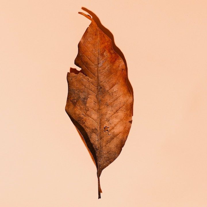 ecolover wabi sabi imperfeccion decoracion